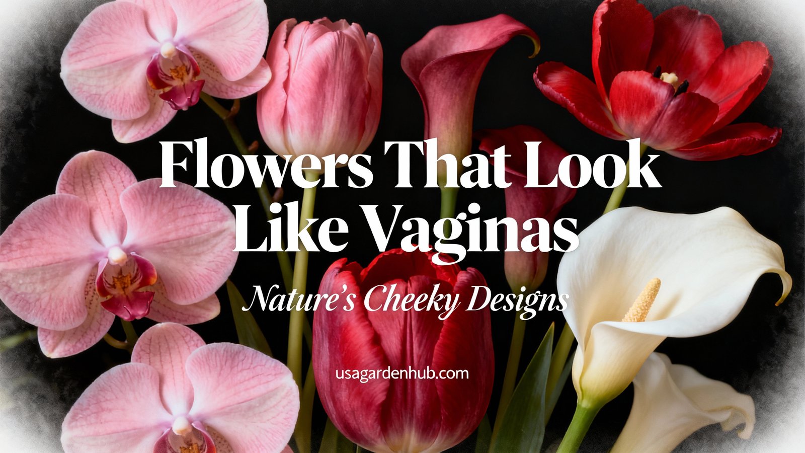 Flowers That Look Like Vaginas: Nature’s Cheeky Designs