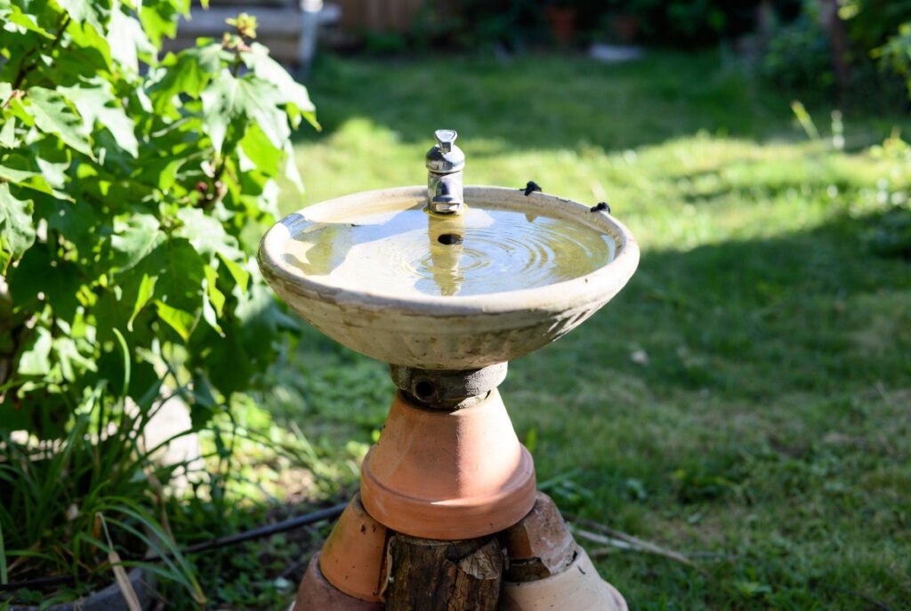 Upcycled Bird Bath Basins: Practical DIY Options for Garden Enhancement 4 Single Basin on Pedestal